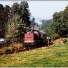 Zur Aufheiterung der Schlechtwetterstimmung mal ein Bild + Rätsel ?