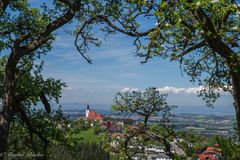 Zur Baumblüte im Mostviertl ...