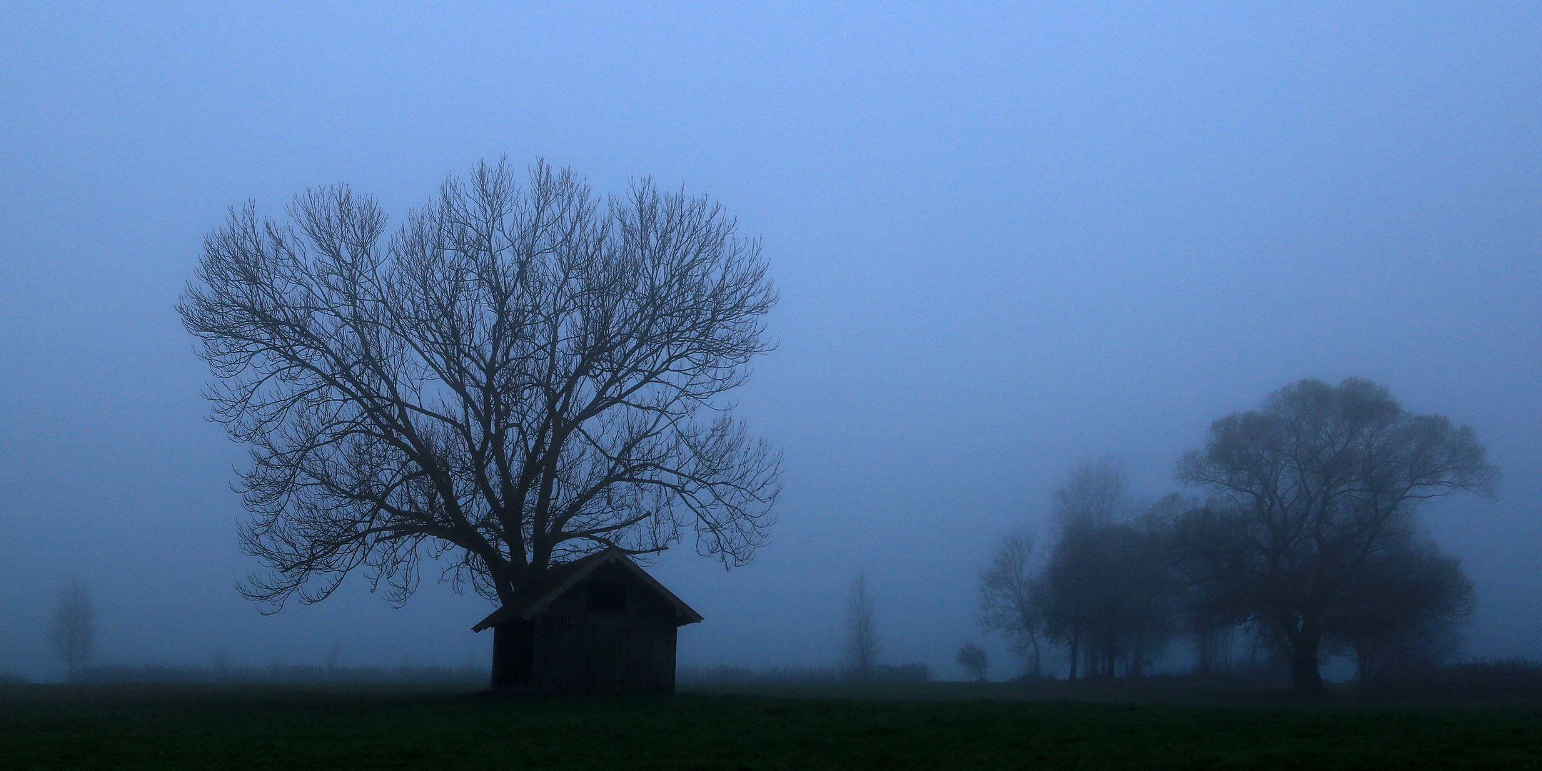 Zur blauen Stunde