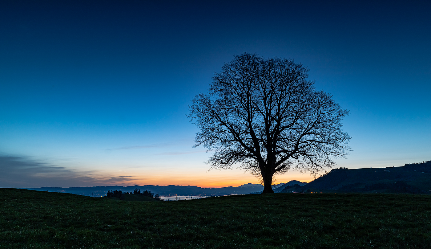 "Zur Blauen Stunde"