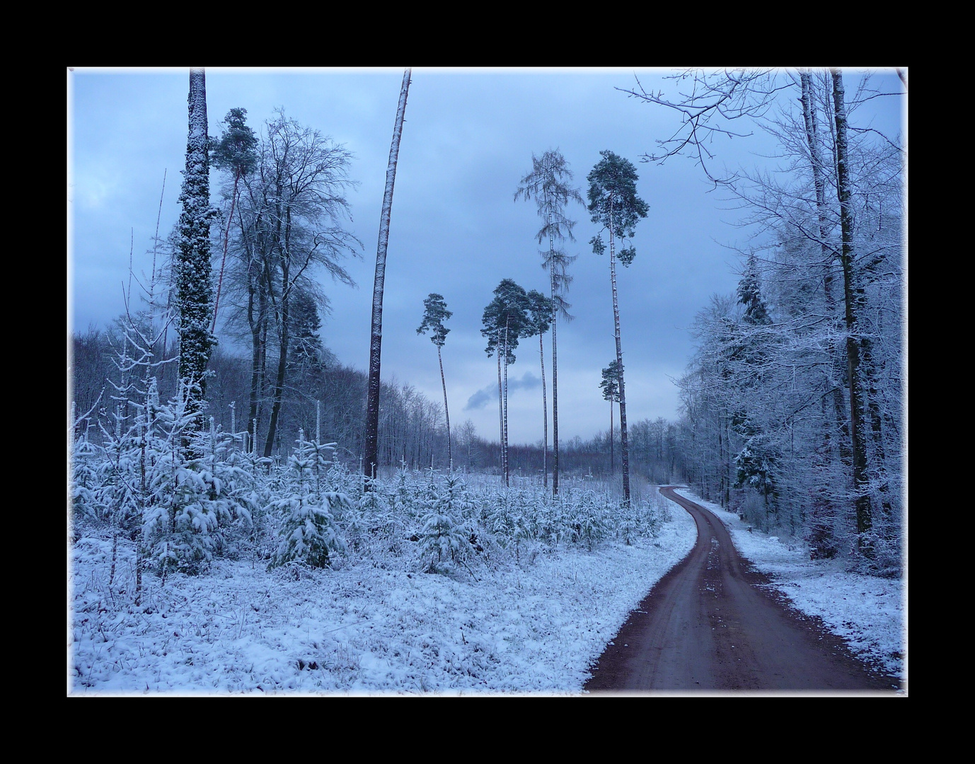 ~ Zur blauen Stunde ~