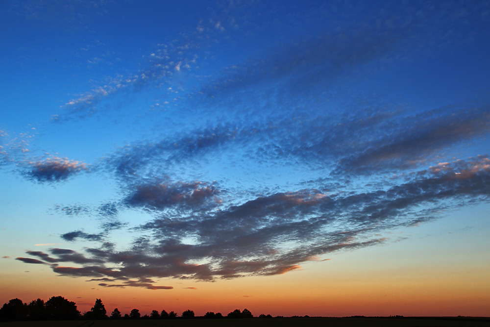 zur blauen Stunde..........