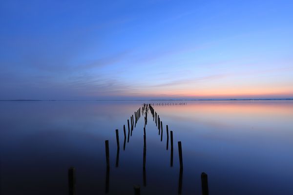 Zur blauen Stunde am Dümmer