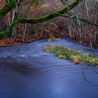 Zur blauen Stunde am Fluss