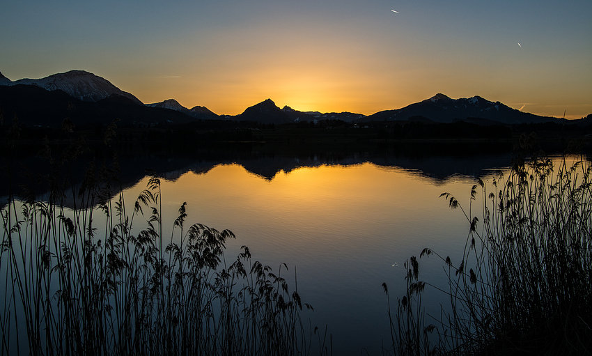 Zur blauen Stunde am Hopfensee 1