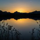 Zur blauen Stunde am Hopfensee 1