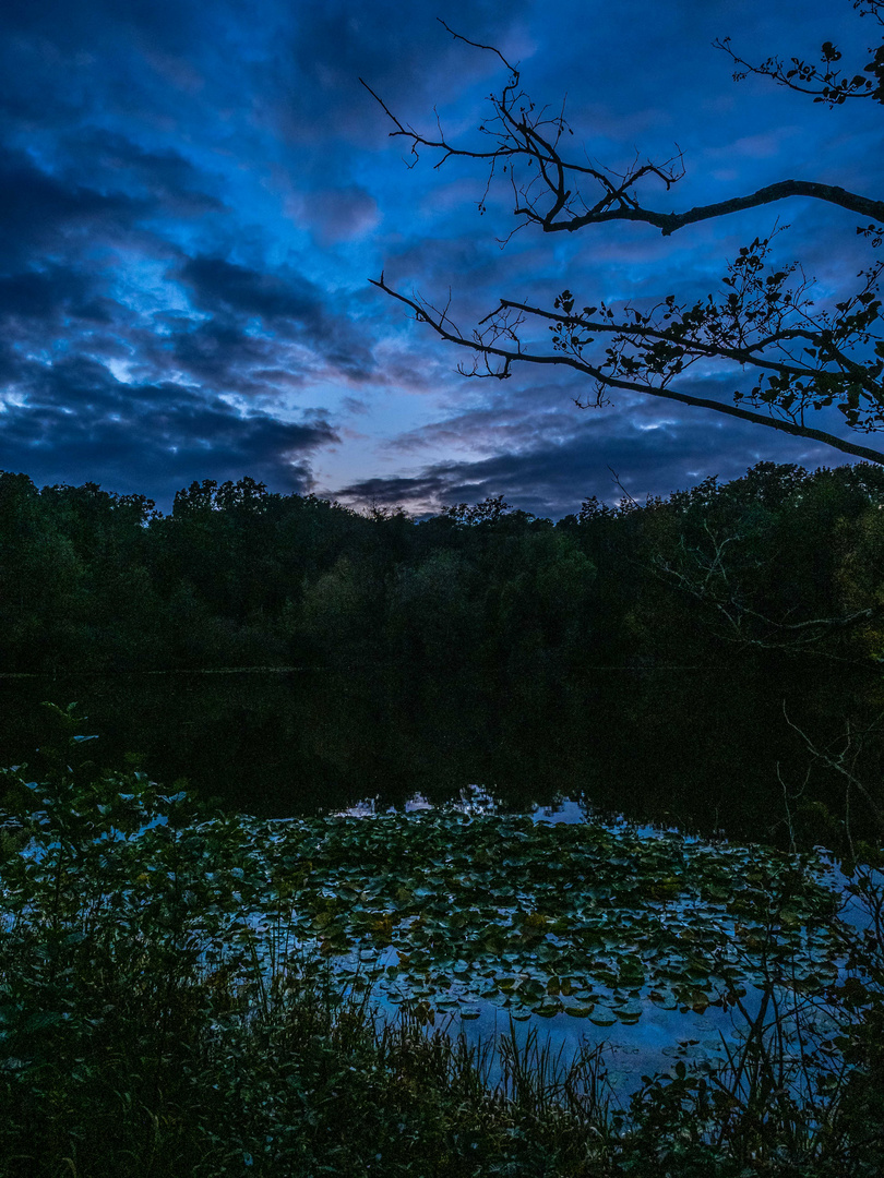 Zur Blauen Stunde am Teufelssee