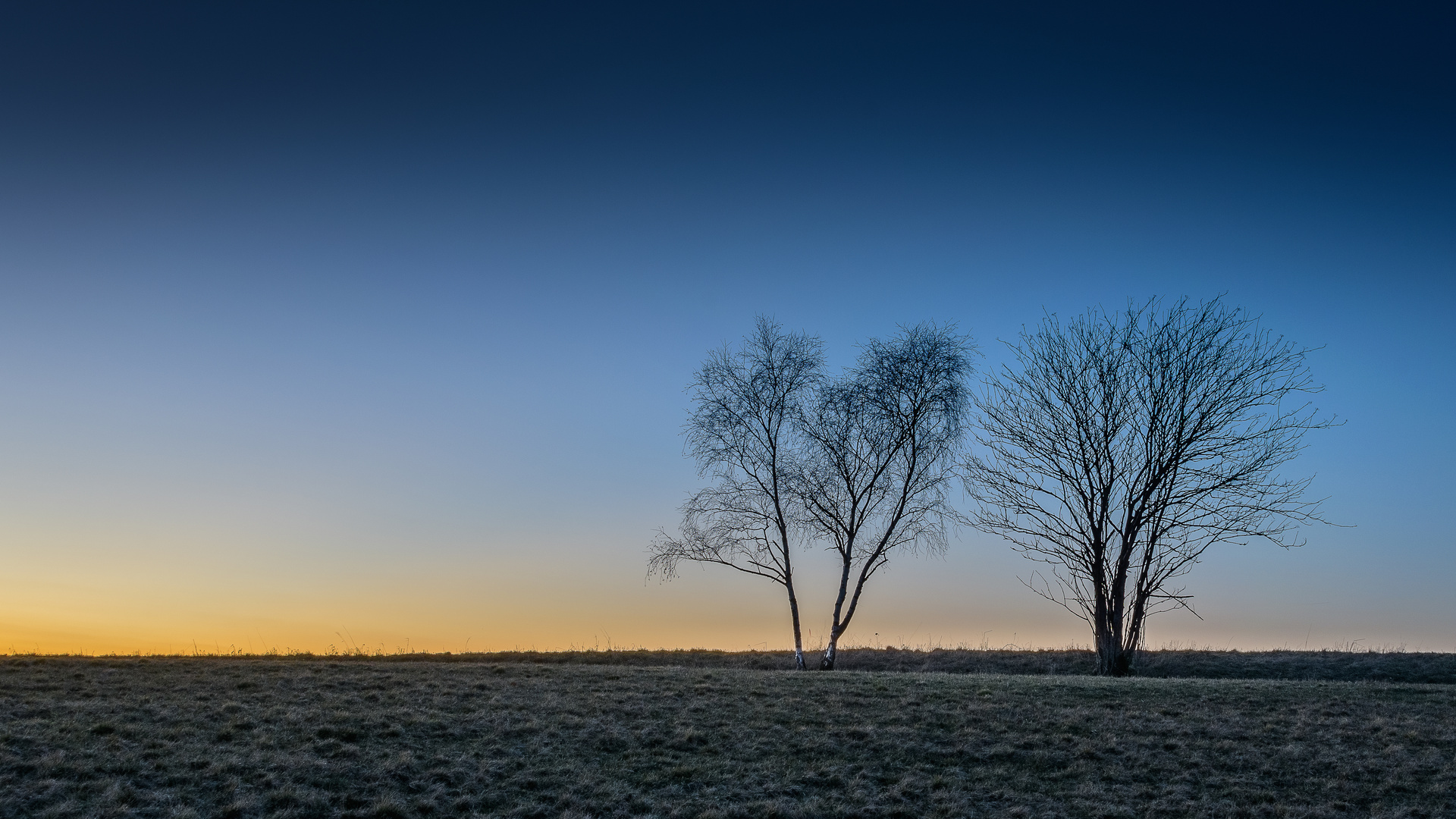 Zur blauen Stunde...