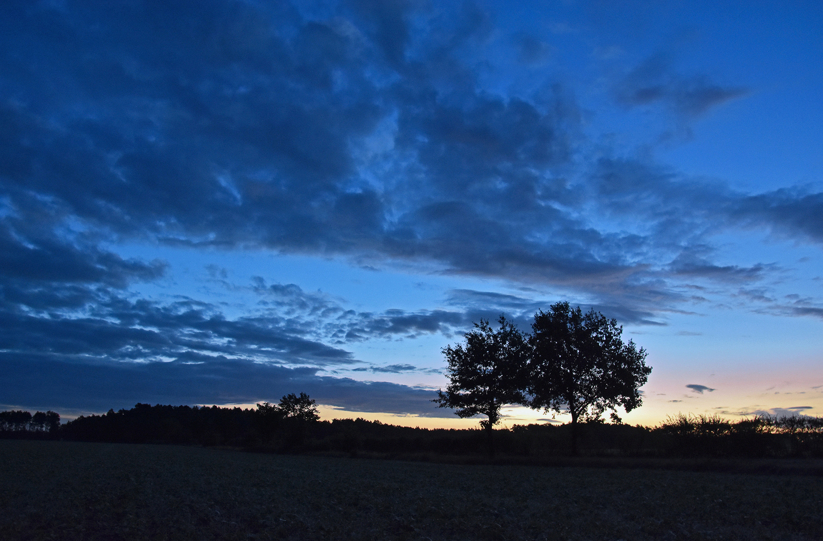 Zur Blauen Stunde in der Lüneburger Heide....