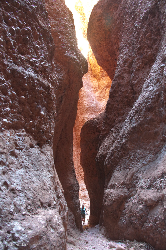 zur Echidna Chasm