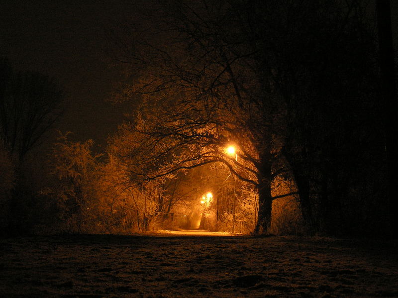 Zur Erfelder Altrheinbrücke II (Winter)