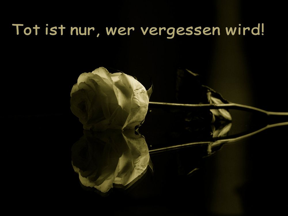 Zur Erinnerung an einen geliebten Menschen Foto & Bild trauer, trauer