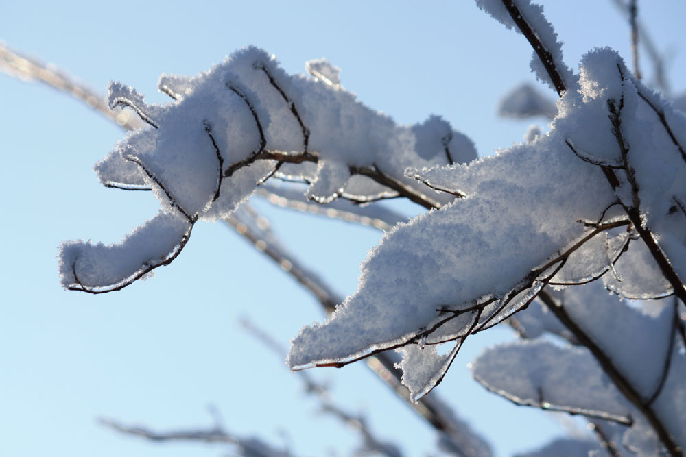 Zur Erinnerung - es ist offiziell noch Winter