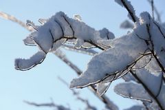 Zur Erinnerung - es ist offiziell noch Winter