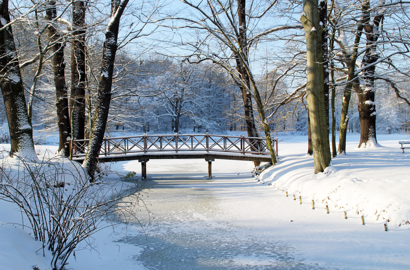 Zur Erinnerung Heute Ist Winteranfang Foto Bild Jahreszeiten Winter Branitzer Park Bei Cottbus Bilder Auf Fotocommunity