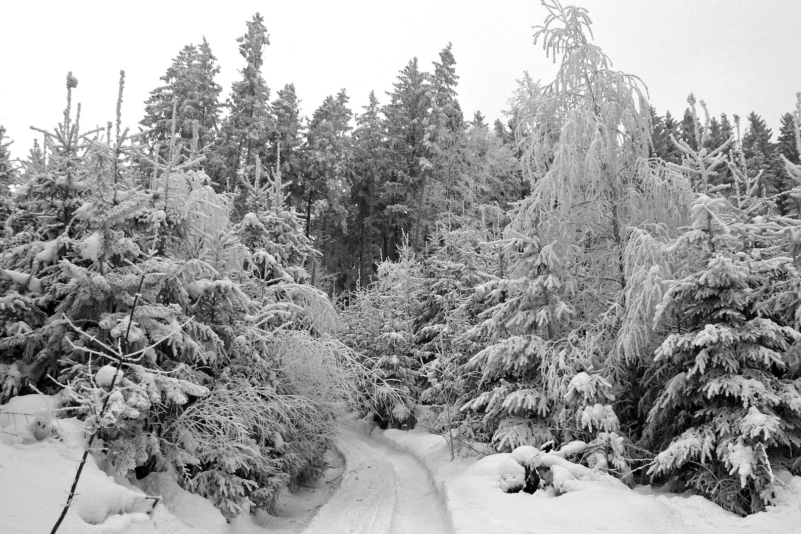 Zur Erinnerung: So sieht Winter aus!