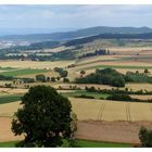 Zur Ernte bereit liegen die Felder im Tal