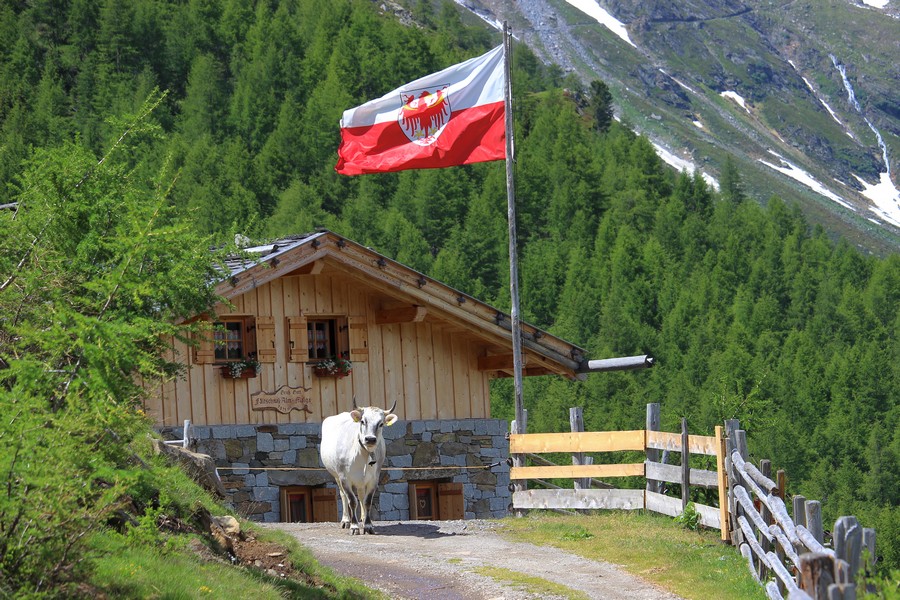 Zur Faltschnalalm bei Pfleders