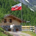 Zur Faltschnalalm bei Pfleders