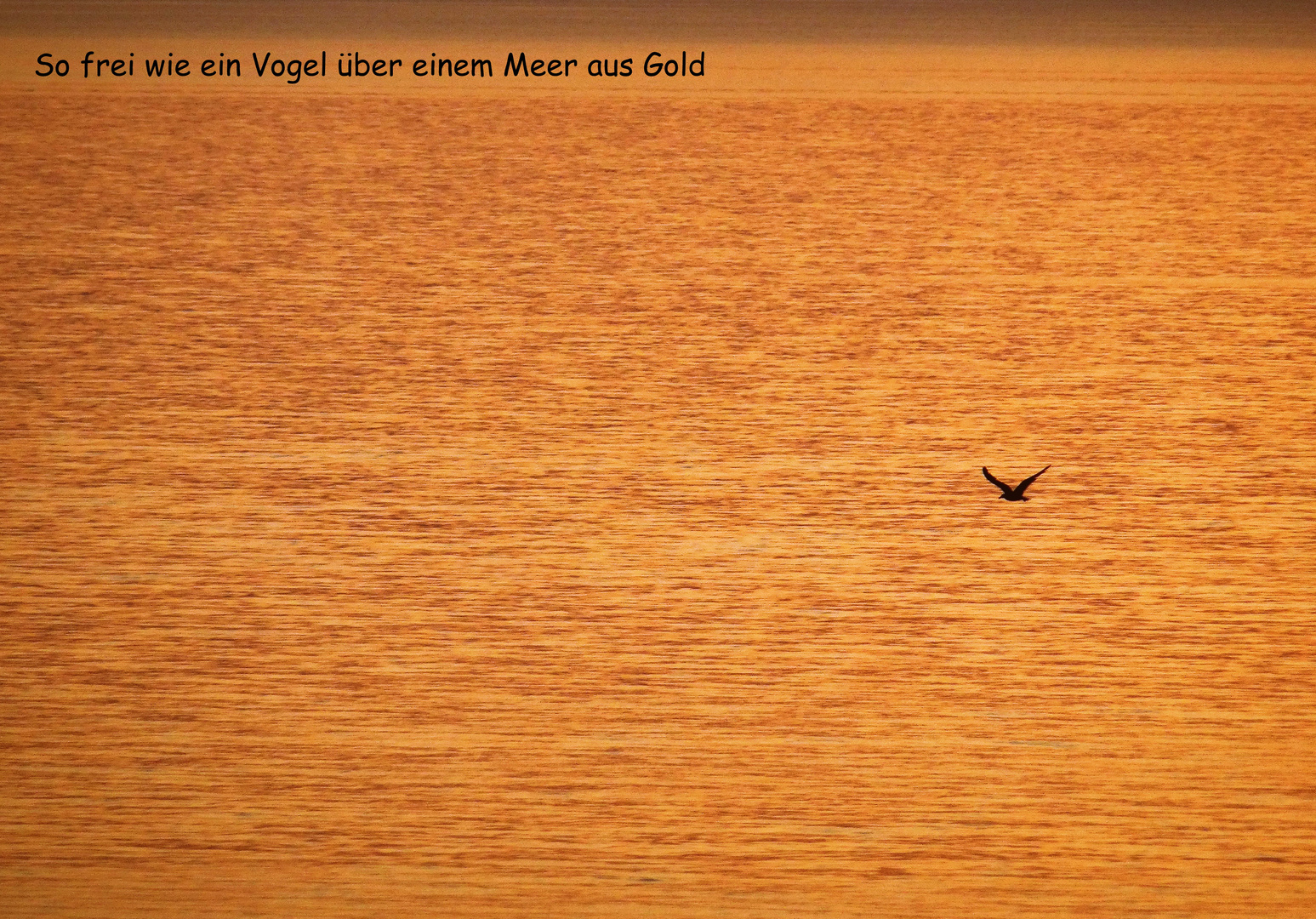 zur goldenen Stund am Meer