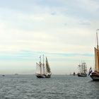 Zur Hanse Sail 2015 auf der Ostsee vor Warnemünde