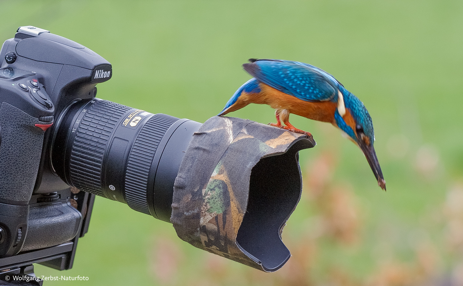  - Zur Jagd wie geschaffen -