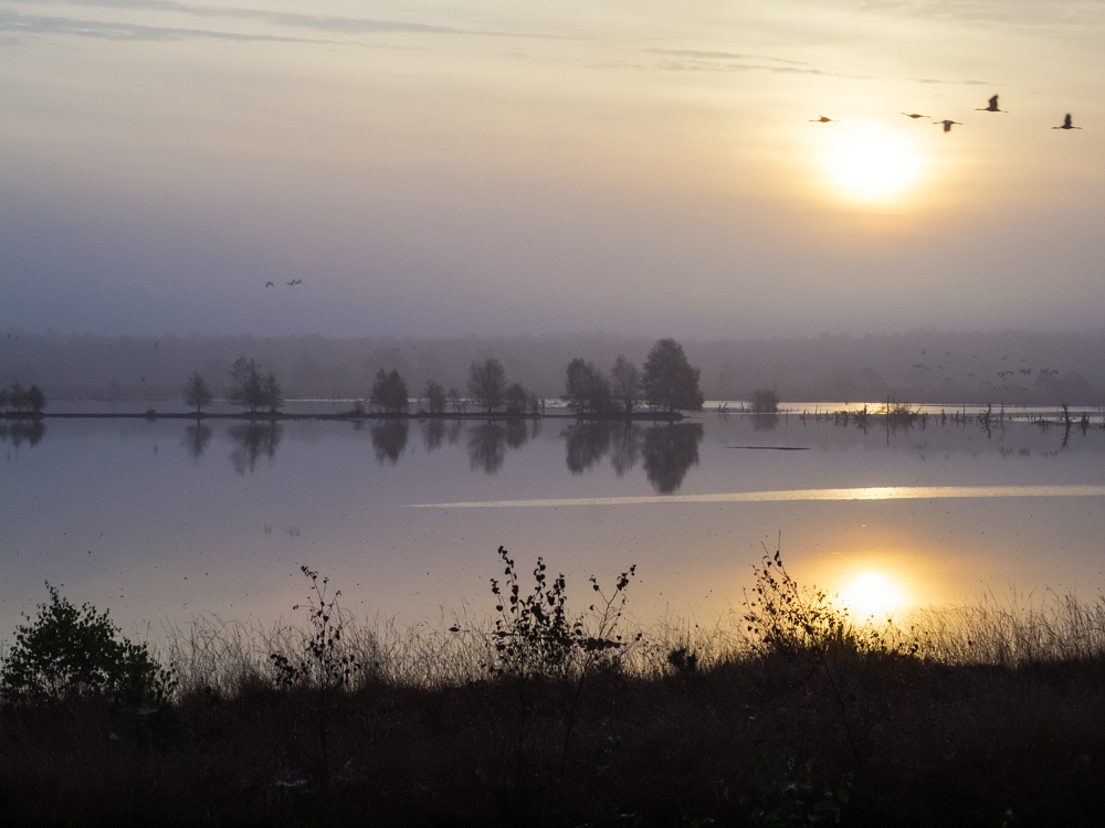 Zur Morgenstund