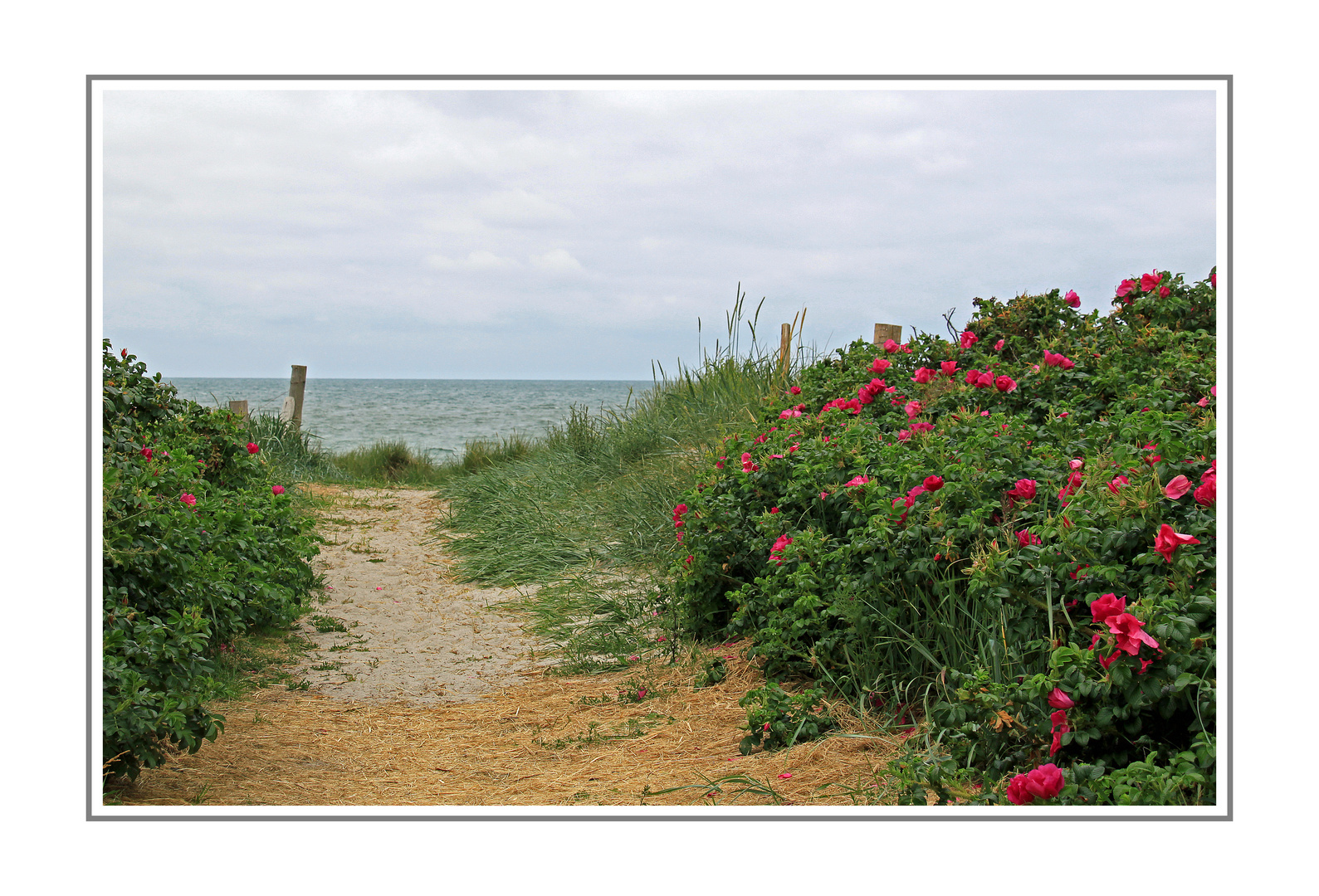 Zur Ostsee