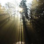 Zur richtigen Zeit am richtigen Ort