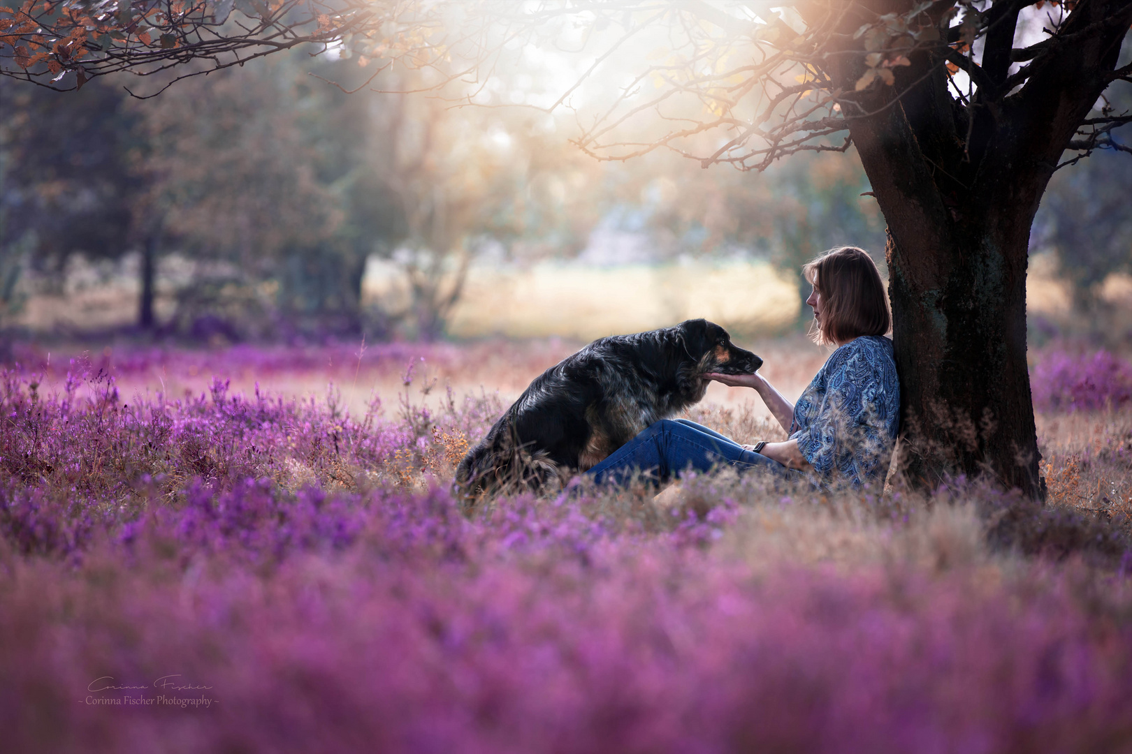 zur richtigen Zeit, am richtigen Ort * Foto & Bild hunde, hund, natur
