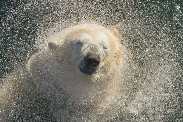 Zur richtigen Zeit am richtigen Ort 