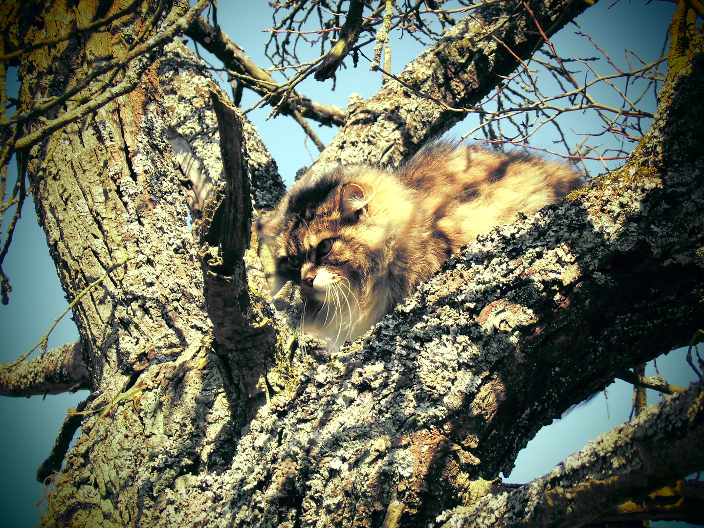 zur Sicherheit mal besser auf den Baum