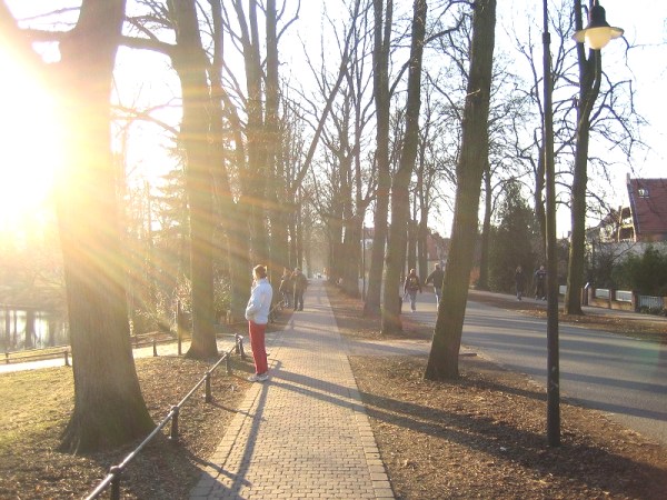 Zur sonne gerichtet