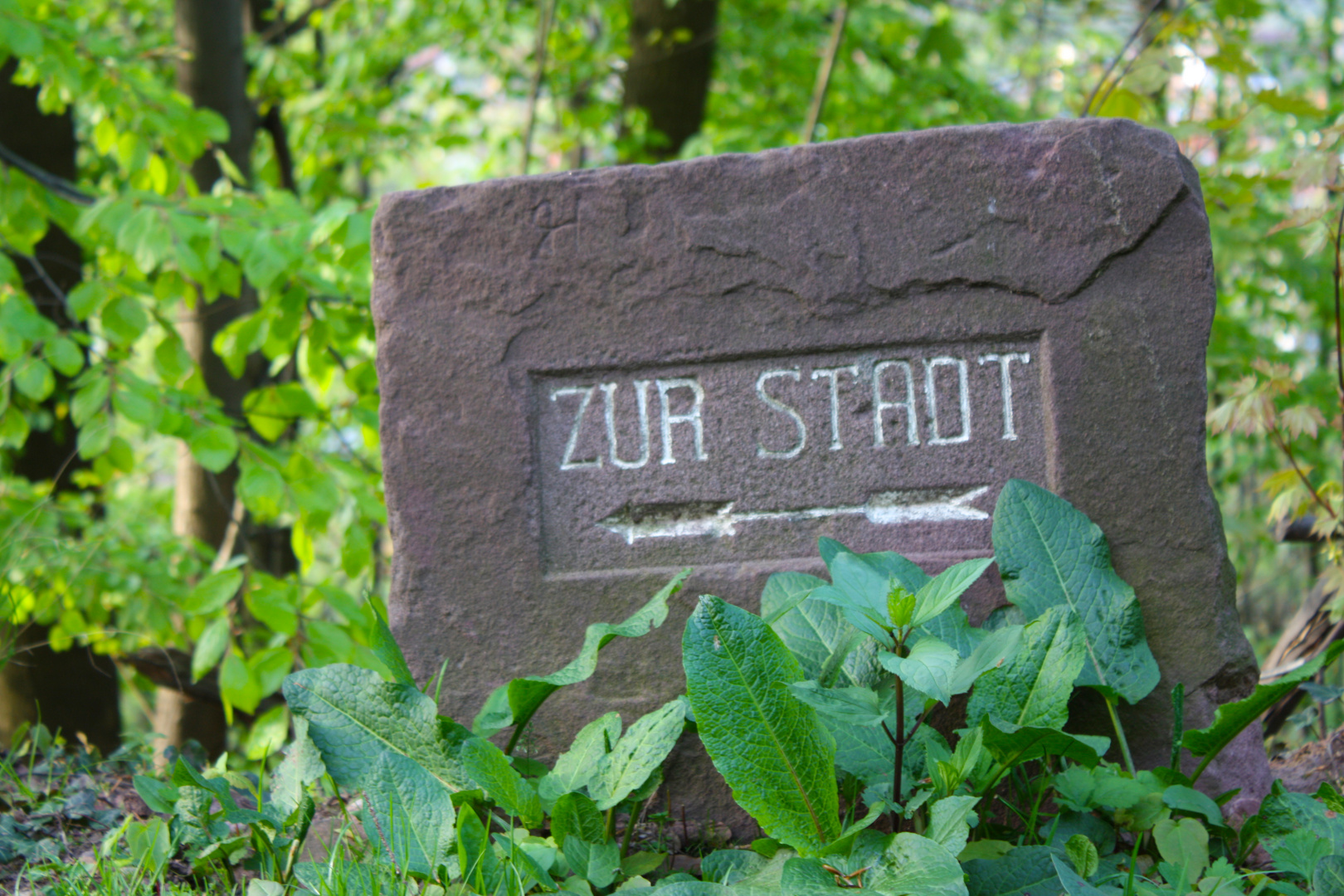 Zur Stadt