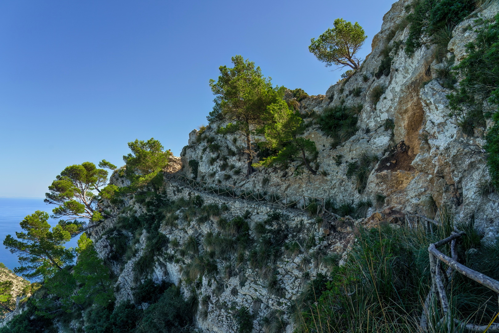 Zur Talaia d’Alcúdia