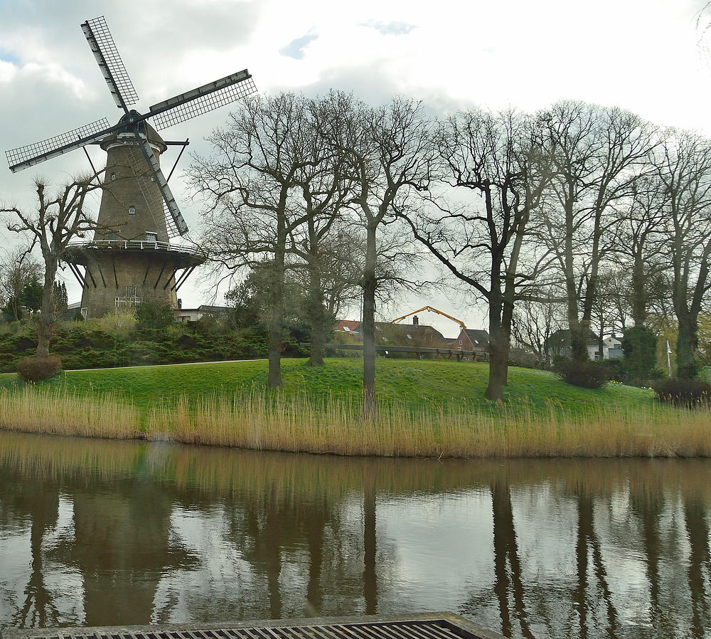 Zur Tulpenblüte nach Holland