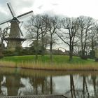 Zur Tulpenblüte nach Holland