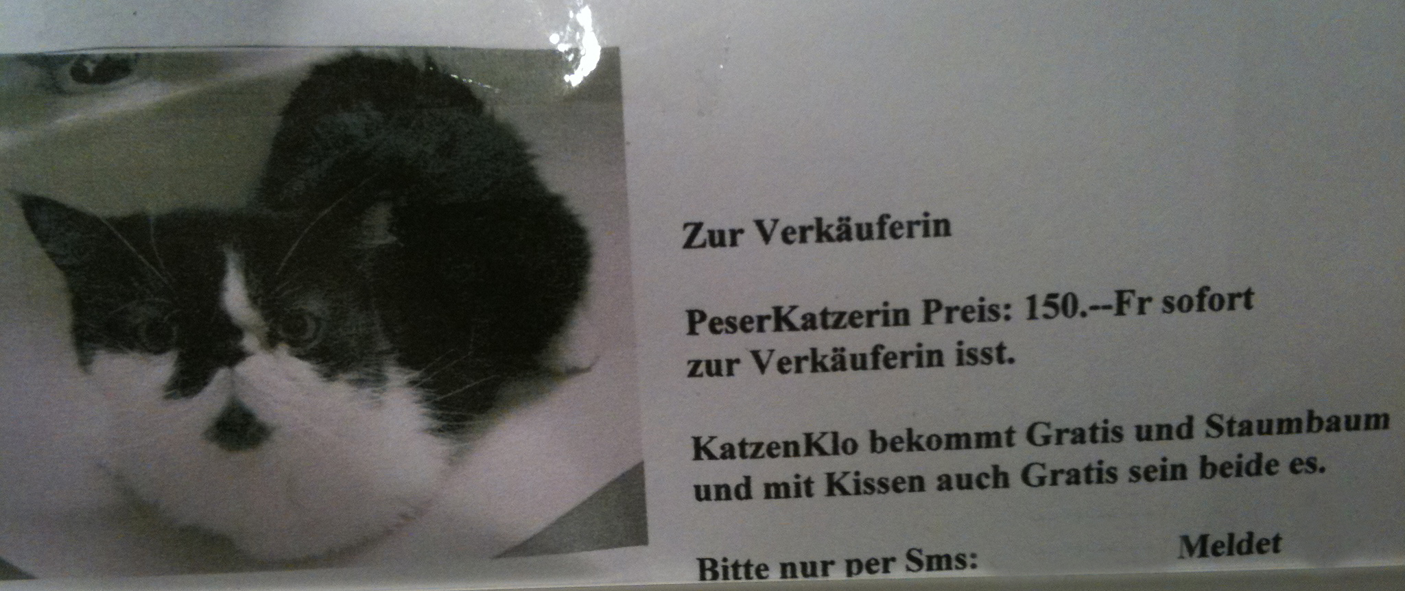 Zur Verkäuferin...