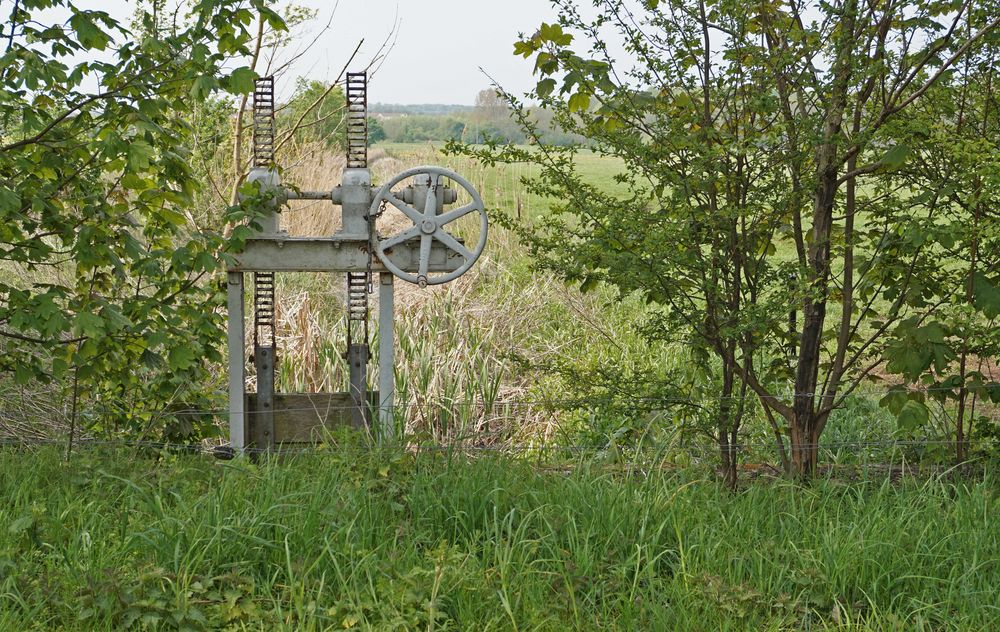 Zur Wasserregulierung