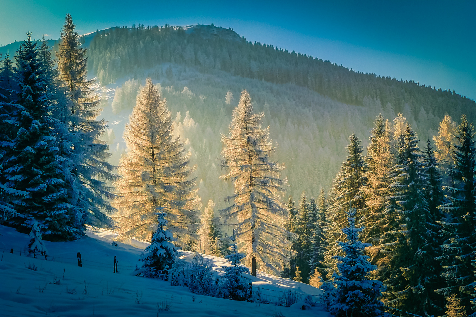 Zur Weihnachtszeit Foto & Bild  landschaft, jahreszeiten, winter 