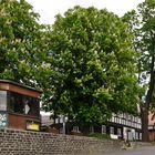 Zur Windmühle