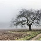 Zur Zeit ändert sich die Wetterlage täglich !