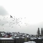 Zurich-1