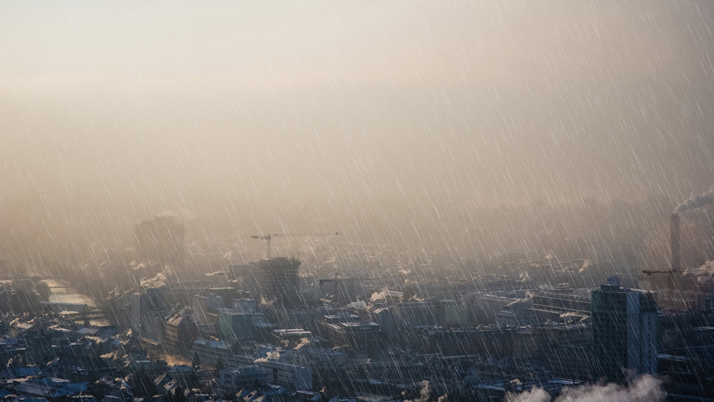 Zurich by Rain