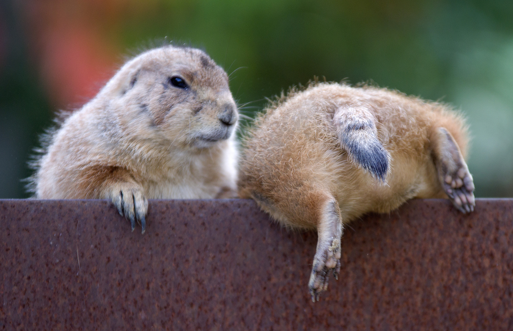 ZURÜCK AN BORD