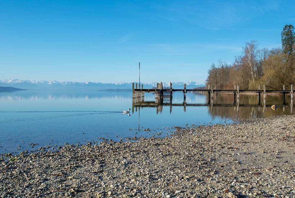 ::. Zurück ans Ufer .::