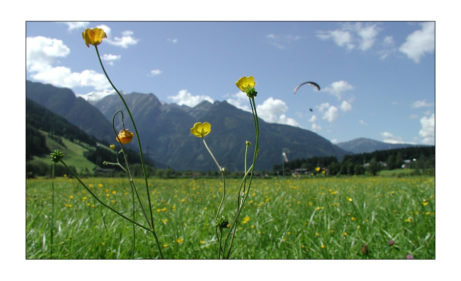 Zurück auf dem Boden der Tatsachen