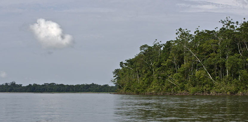 Zurück auf dem Rio Napo