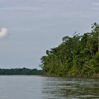 Zurück auf dem Rio Napo