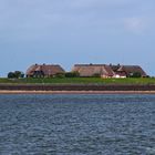 Zurück auf der Hallig